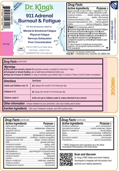 911 Adrenal Burnout &amp; Fatigue.jpg (911 Adrenal Burnout   Fatigue)